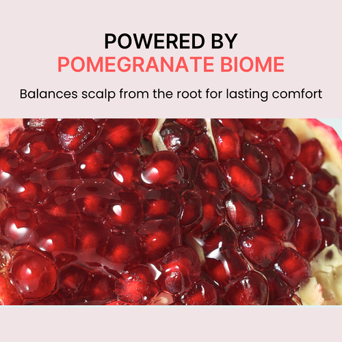 [nesh] Pomegranate Biome Scalp Boosting Shampoo 480ml