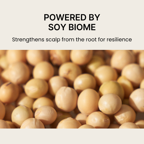 [nesh] Soy Biome Scalp Balancing Shampoo 480ml