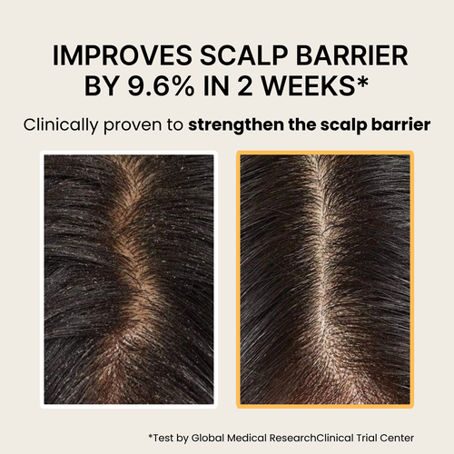[nesh] Soy Biome Scalp Balancing Shampoo 480ml