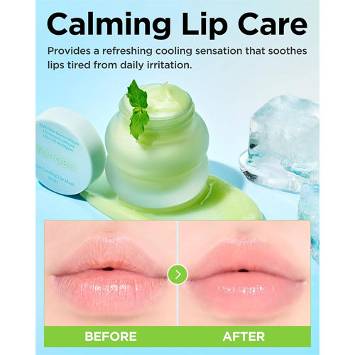 MOIDA SET [TOCOBO] Travel-Ready Calming Set (Skincare Kit + Sun Stick + Lip Mask) *Special Price*