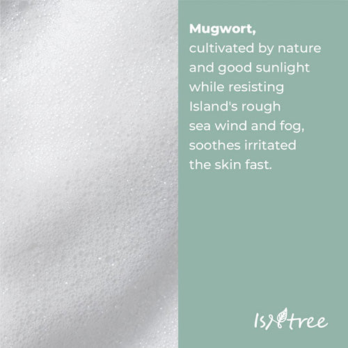 [Isntree] Mugwort Calming Powder Wash (25ea)