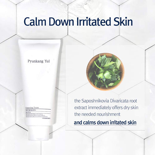 [Pyunkang Yul] Cleansing Foam 150ml