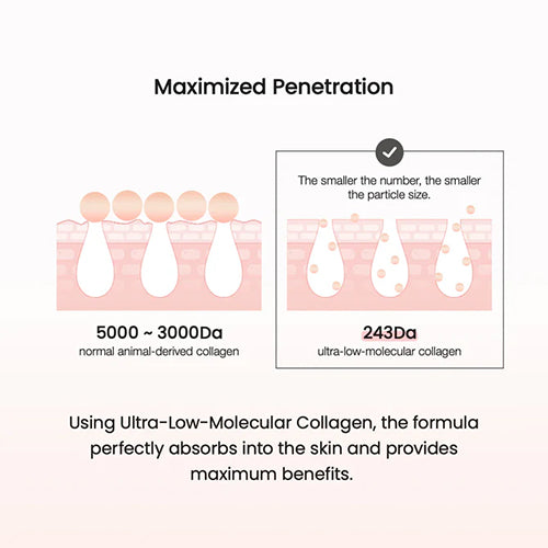 [Biodance] Pore Perfecting Collagen Peptide Cream 50ml