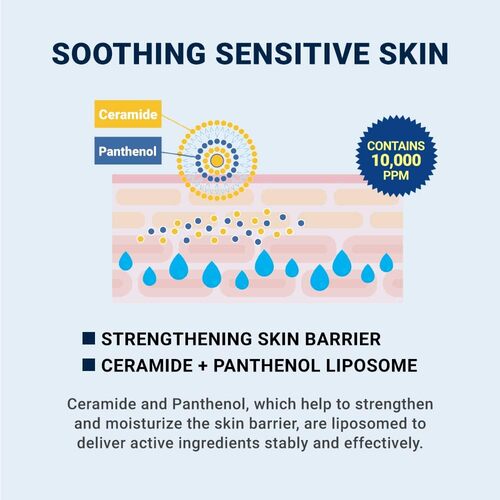 [Derma-B] *renewal* CeraMD Repair Cream 430ml