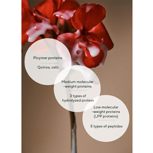 [aromatica] Quinoa Protein Hair Ampoule 100ml