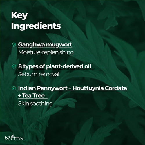 [Isntree] Mugwort Calming Deep Cleansing Oil 200ml