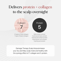 [GROWUS] Damage Therapy Scalp Scaling Ampoule 50ml