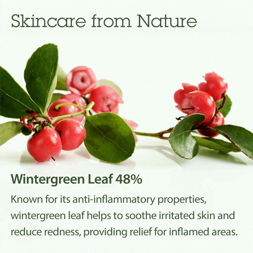 [BLITHE] Vital Treatment 6 calming Leaves