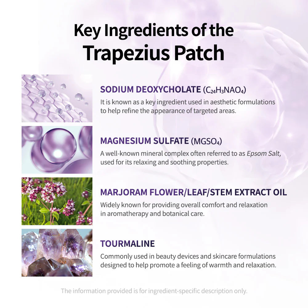 [essl] Trapezius Patch (10ea)