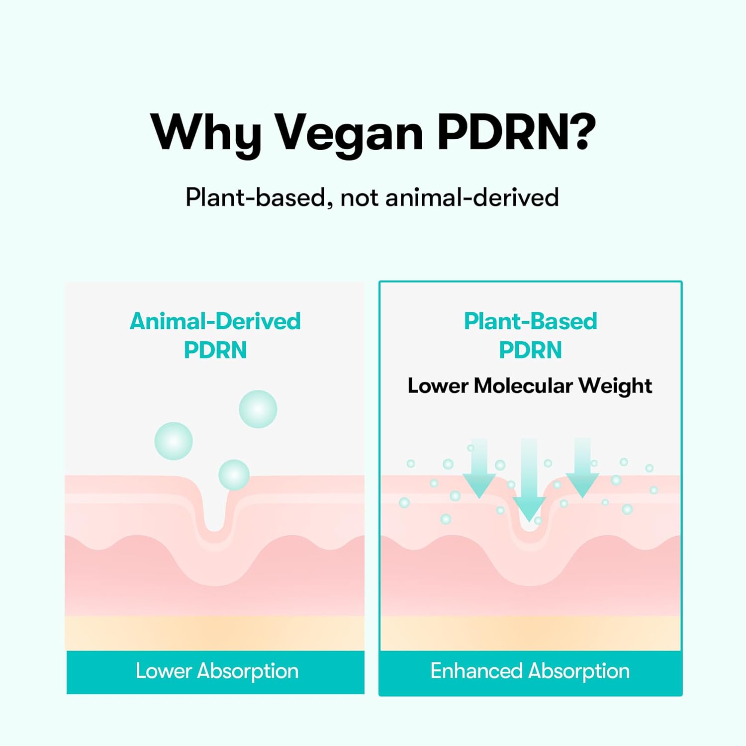 [VT Cosmetics] PDRN Glow Ampoule Mist 100ml