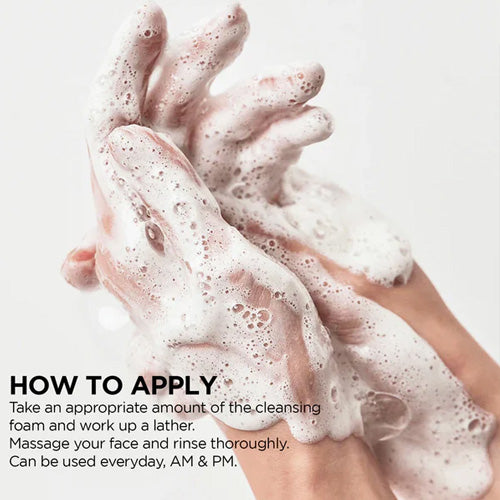 [Anua] *renewal* Heartleaf Succinic Moisture Cleansing Foam 150ml
