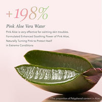 [APRILSKIN] Pink Aloe Pack Cleanser 120ml