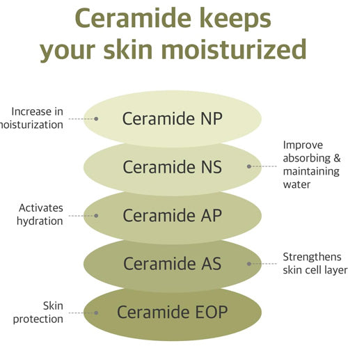 [ROUND LAB] Soybean Serum 50ml