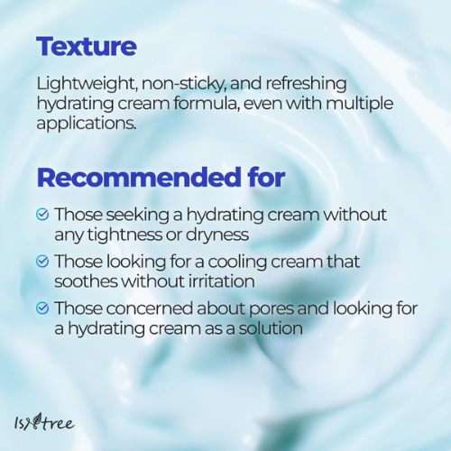 [Isntree] Ultra-Low Molecular Hyaluronic Acid Zinc Aqua Cream 80ml