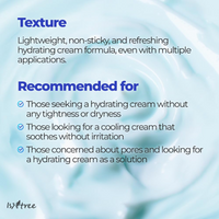 [Isntree] Ultra-Low Molecular Hyaluronic Acid Zinc Aqua Cream 80ml