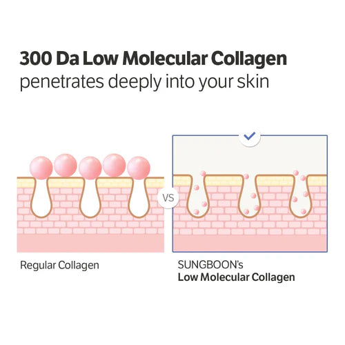 [SUNGBOON EDITOR] Deep Collagen Power Boosting Cream In Serum 30ml