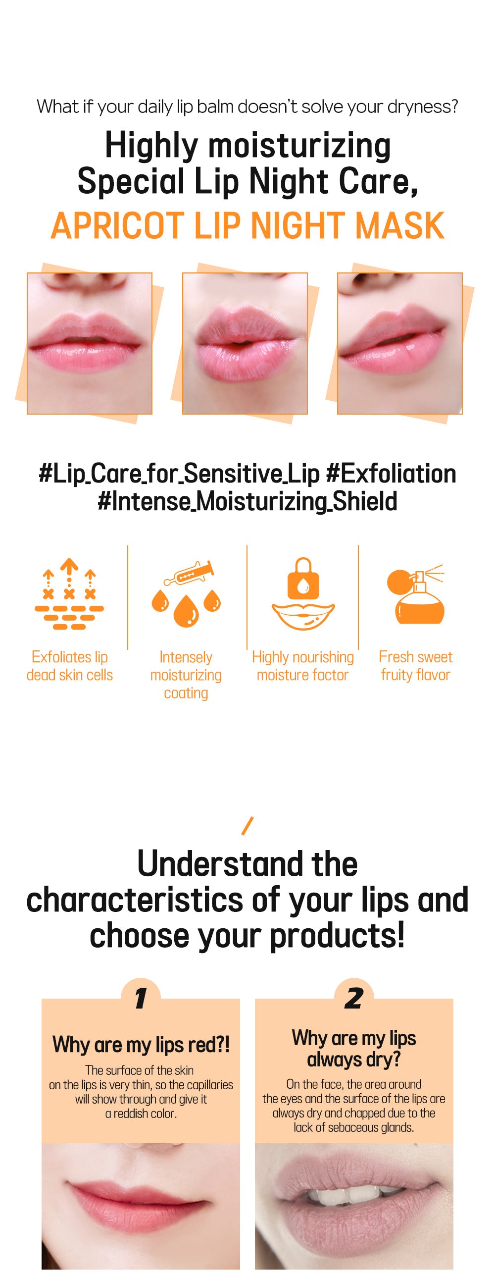 [CARE:NEL] Lip Night Mask 23g (4 types)