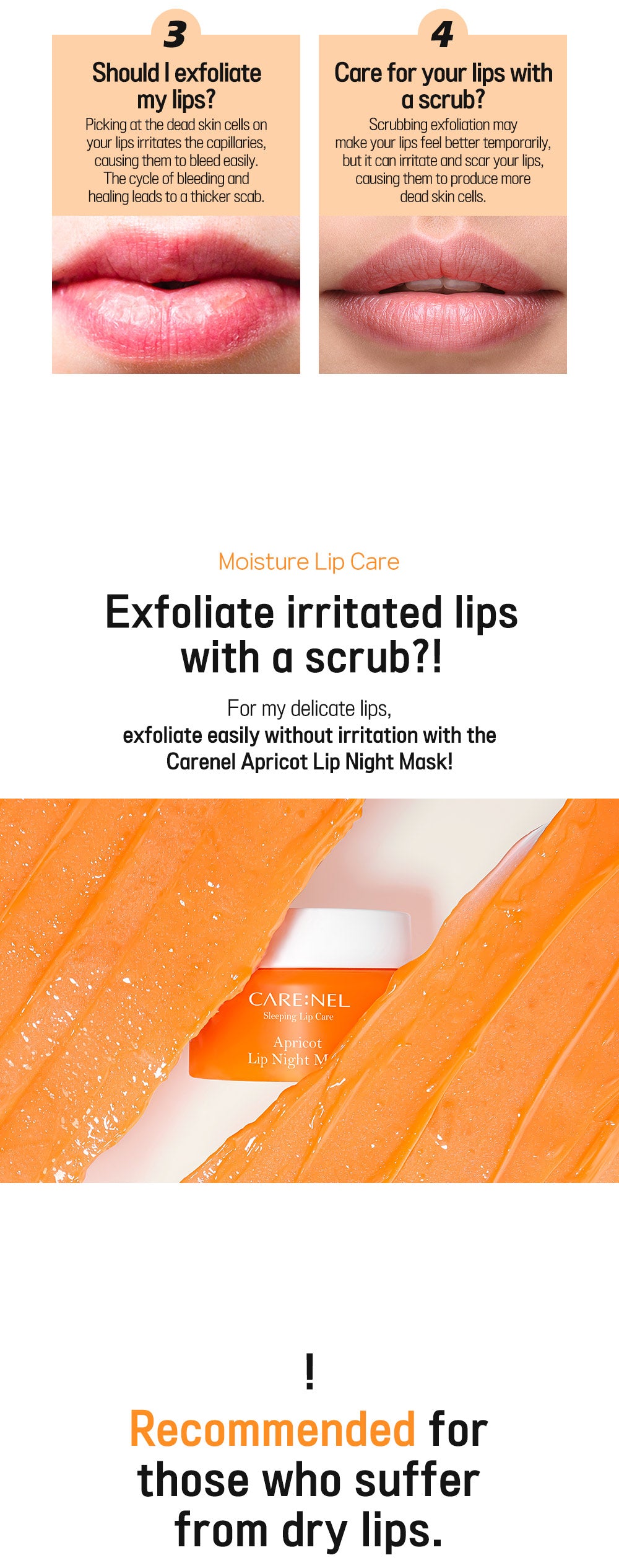 [CARE:NEL] Lip Night Mask 23g (4 types)