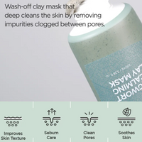 [ISNTREE] Real Mugwort Clay Mask 100ml