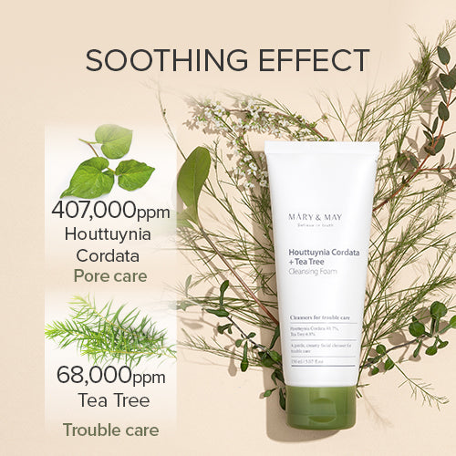 [Mary&May] Houttuynia Cordata + Tea Tree Cleansing Foam 150ml