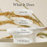 [MOIDA] Pore-Care Set