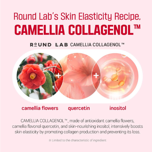 [ROUND LAB] Camellia Deep Collagen Firming Cream 50ml
