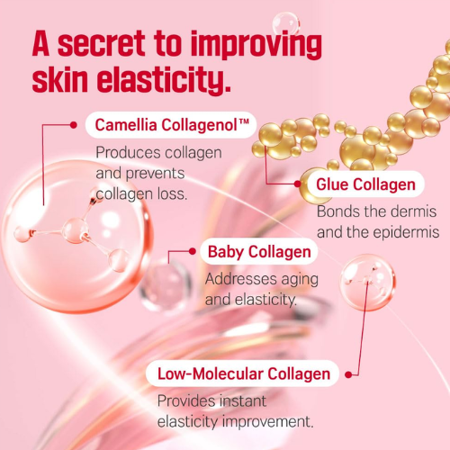 [ROUND LAB] Camellia Deep Collagen Firming Cream 50ml