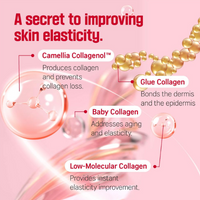 [ROUND LAB] Camellia Deep Collagen Firming Cream 50ml