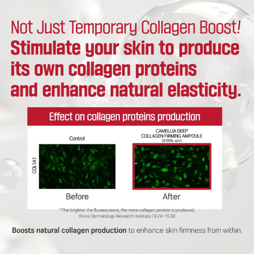 [ROUND LAB] Camellia Deep Collagen Firming Ampoule 30ml
