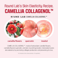 [ROUND LAB] Camellia Deep Collagen Firming Ampoule 30ml