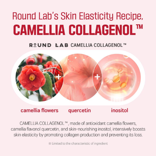 [ROUND LAB] Camellia Deep Collagen Firming Ampoule 30ml