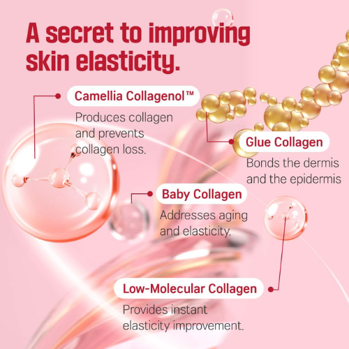 [ROUND LAB] Camellia Deep Collagen Firming Ampoule 30ml