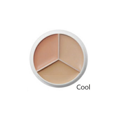 [TFIT] Cover Up Pro Concealer (7 colors)