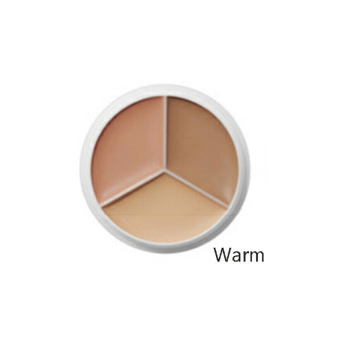 [TFIT] Cover Up Pro Concealer (7 colors)